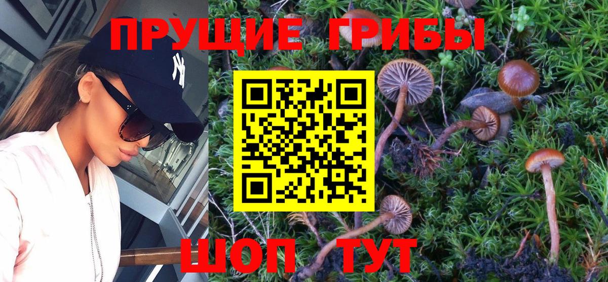 Псилоцибиновые грибы мухоморы Коломна